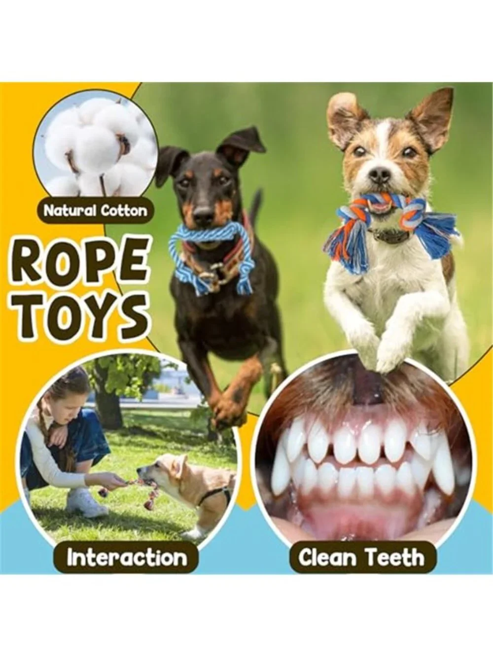 9 Pack Luxury Puppy Toys for Teething Small Dogs